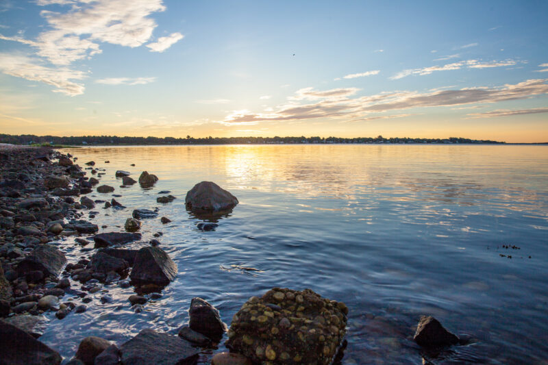 Oysterponds ShellFish Co