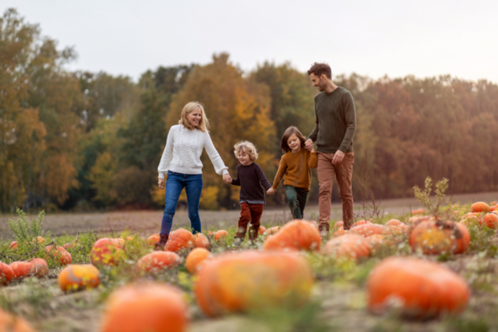 pumpkin patch fall activities