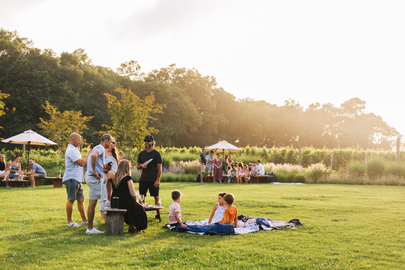 A gathering of friends and family on a green lawn in the summer.