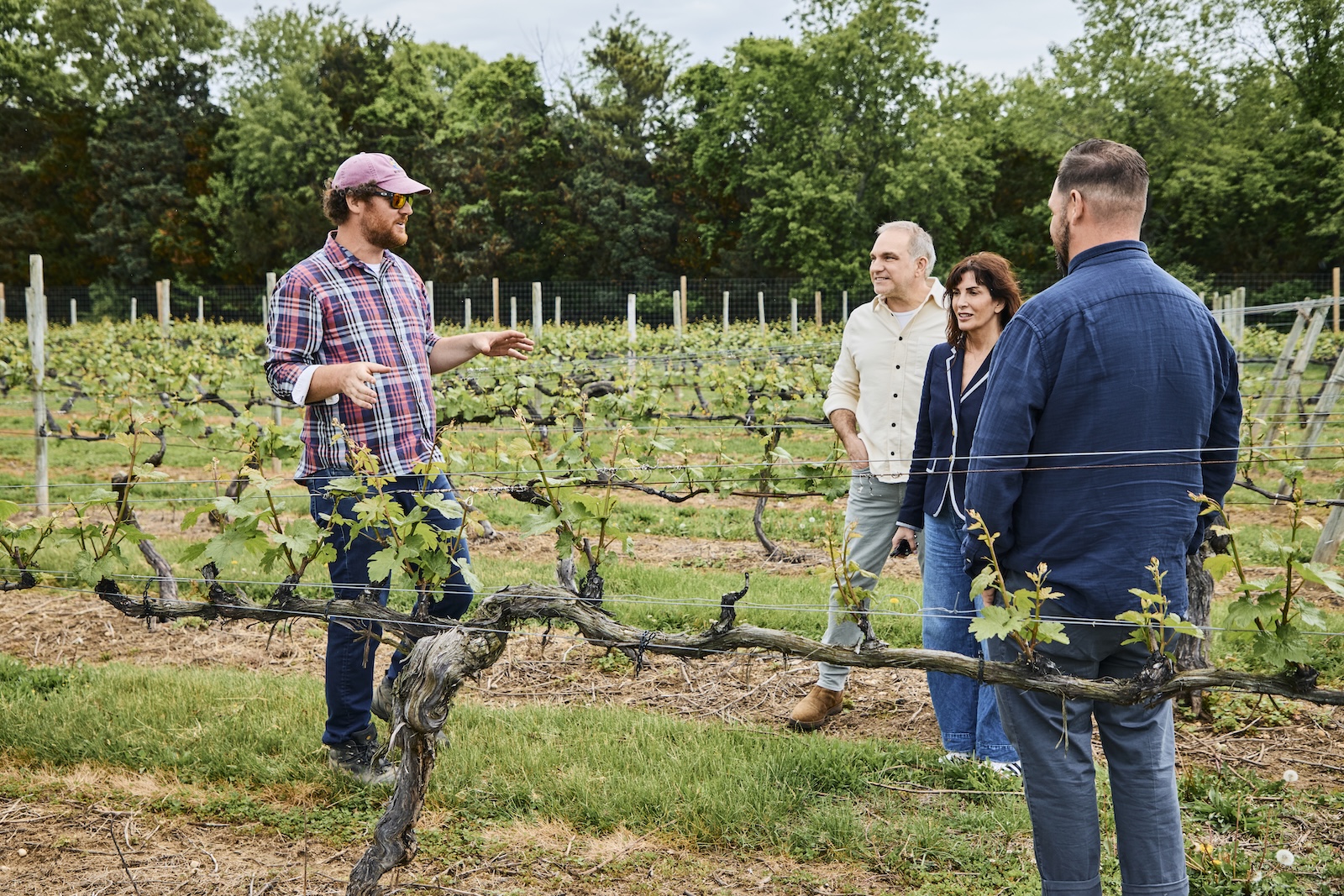 A tour on a vineyard in Greenport.