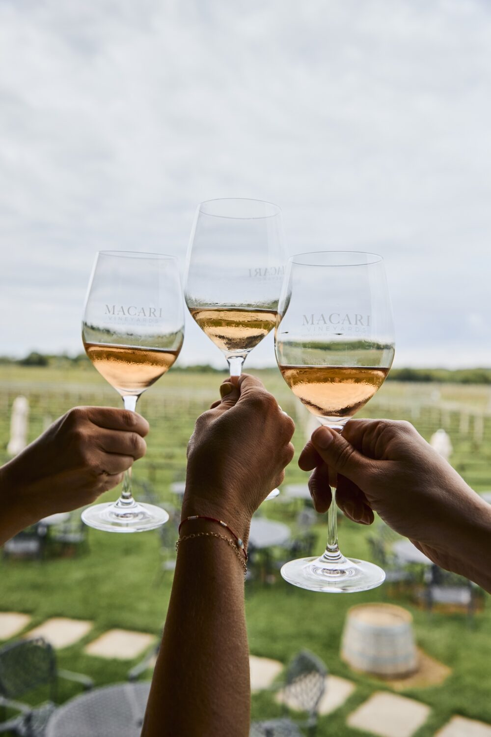 Toasting three glasses of Macari rosé.